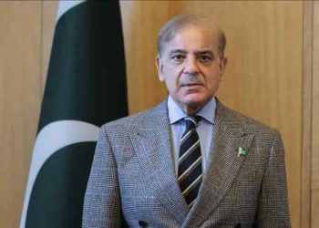 Over 9 Million Overseas Pakistanis Contributions Vital to National Stability: PM Shehbaz Sharif