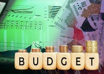 Pakistan banking sector backs federal budget for FY2025-26 - Business & Finance
