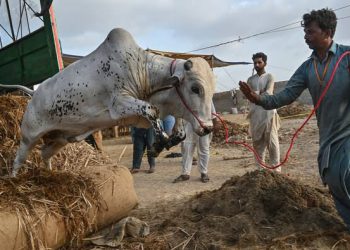 Rs. 1.3 Trillion in Business Activity Estimated During Eid ul Adha in Pakistan