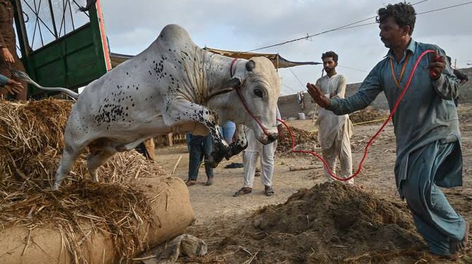 Rs. 1.3 Trillion in Business Activity Estimated During Eid ul Adha in Pakistan