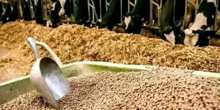 Seminar on enhancing Pakistan’s fodder export held