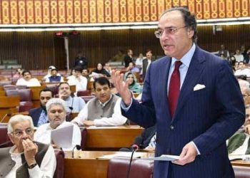 THESE Pakistani citizens exempted from taxes in budget 2025-26