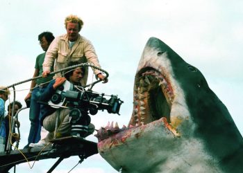 The shark's not working'