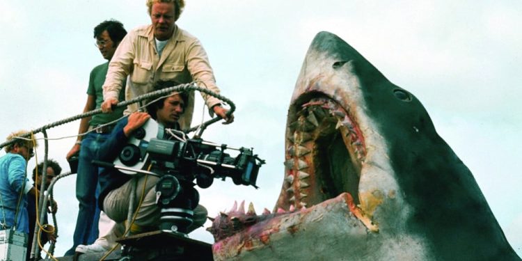 The shark's not working'