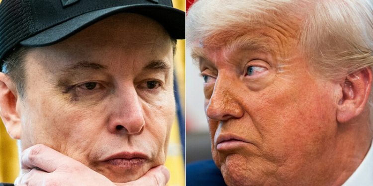 Trump says ‘very disappointed’ by Musk criticism
