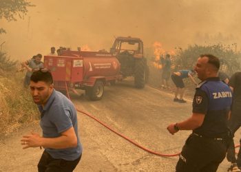 Turkiye battles wildfires in Izmir for second day, 50,000 people evacuated