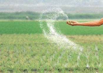 Urea sector: Body decides to extend gas supply until Sept 30 - Business & Finance