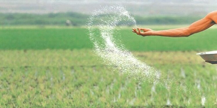 Urea sector: Body decides to extend gas supply until Sept 30 - Business & Finance