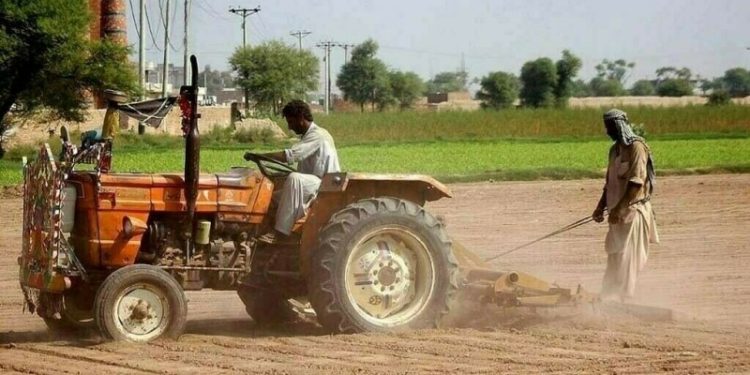 ‘Lowest in 9 years’: Pakistan agriculture sector projected to grow only 0.56% in FY25 - Markets