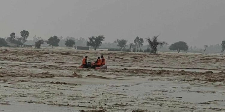 Chakwal faces flash floods after receiving 400mm rain in 10 hours