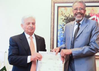 Pakistan seeks partnership with Saudi Arabia, Sudan in agriculture