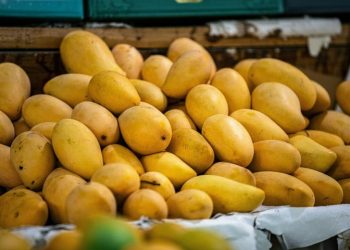 All types of mangoes for current season: FBR fixes new customs/export values