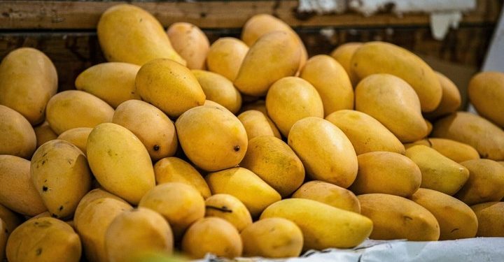 All types of mangoes for current season: FBR fixes new customs/export values