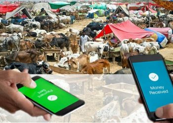 Go Cashless: cattle markets settle Rs4.66bn via 64,553 online transactions on Eid-ul-Adha 2025