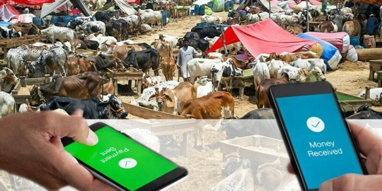 Go Cashless: cattle markets settle Rs4.66bn via 64,553 online transactions on Eid-ul-Adha 2025