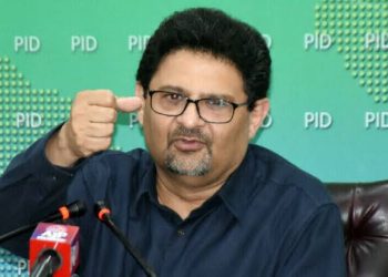 Government Reduces Duties on Luxury Items and Imposes Tax on Chicken, Miftah Ismail