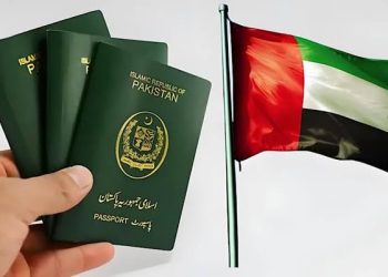 Interior Minister Gives Major Update on UAE Visas for Pakistanis