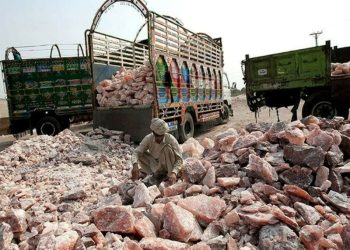 MPC meeting on July 30: salt manufacturers call for rate cut