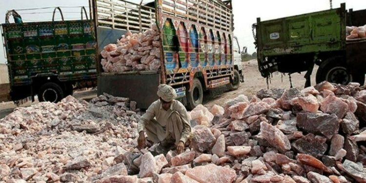 MPC meeting on July 30: salt manufacturers call for rate cut