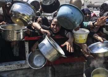 More than 100 NGOs warn Israel’s forced ‘mass starvation’ stalks all Gaza