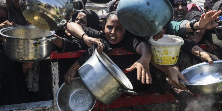 More than 100 NGOs warn Israel’s forced ‘mass starvation’ stalks all Gaza