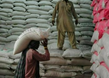 Pakistan believed to have received no offers in 50,000 T sugar tender, traders say