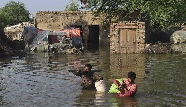 Punjab on High Alert! 70 Lives Lost in 48 Hours Due to Heavy Rain