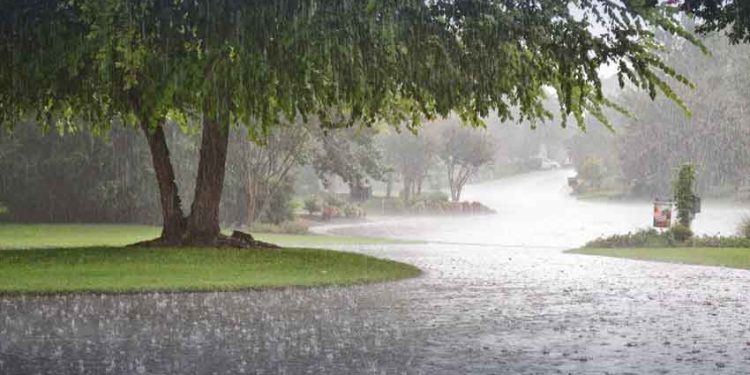 Rain Alert! Monsoon Rains Likely to Begin Again in Pakistan from July 5