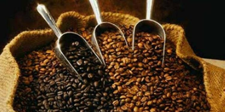 Robusta coffee recovers after hitting 16-month lows, cocoa also gains ground