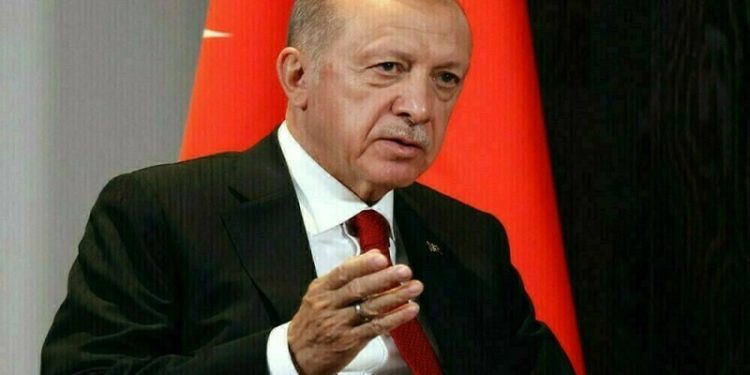 Turkey’s Erdogan insists on Cyprus two-state solution