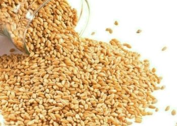 Wheat inches higher but heads for weekly loss on ample supply