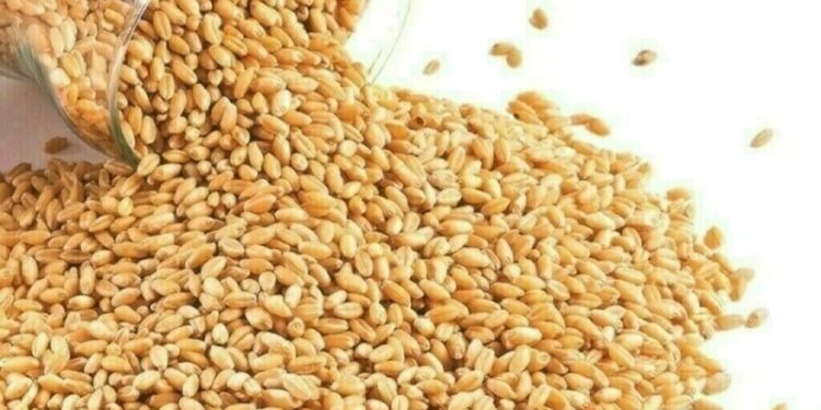 Wheat inches higher but heads for weekly loss on ample supply