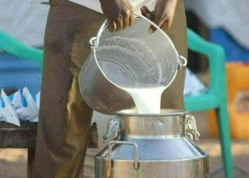 ZTBL, PDA team up to strengthen dairy sector