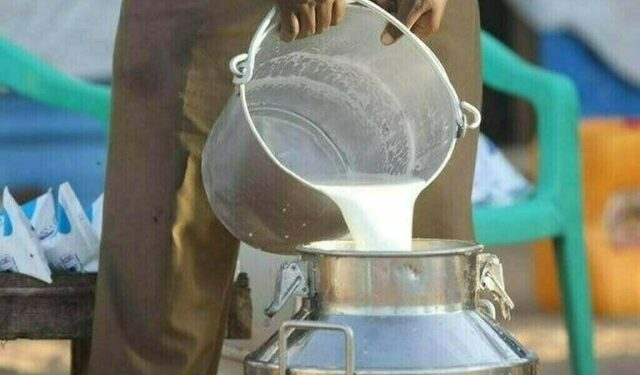 ZTBL, PDA team up to strengthen dairy sector