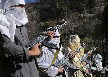 Tribal elders, TTP leaders agree to cease fire in Bajaur