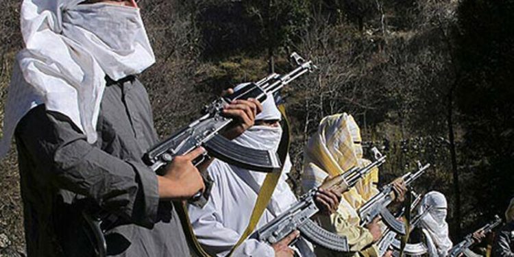 Tribal elders, TTP leaders agree to cease fire in Bajaur