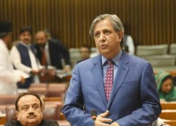 Senate assured of probe into govt ad sans Quaid’s portrait