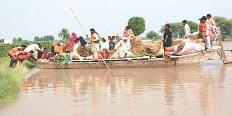 Displacement, crop devastation as Indus floods ravage South Punjab