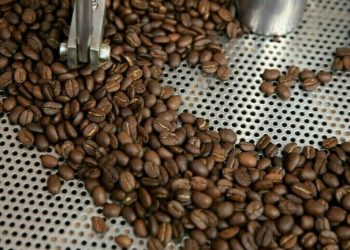Arabica coffee turns lower after setting two-month peak