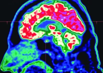 the full effect of microplastics on human health has not been understood photo afp