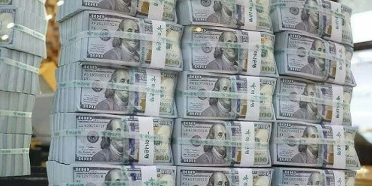 Forex reserves up $11m - Business & Finance