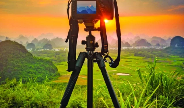 flashbulbs photo file