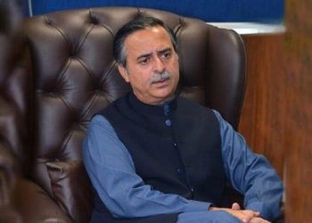 Gadani to become first green ship breaking yard of country: minister - Business & Finance