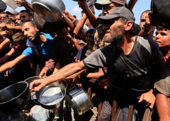 Gaza City officially in famine, with hunger spreading, says global hunger monitor