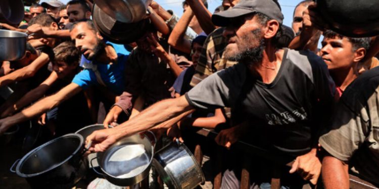 Gaza City officially in famine, with hunger spreading, says global hunger monitor