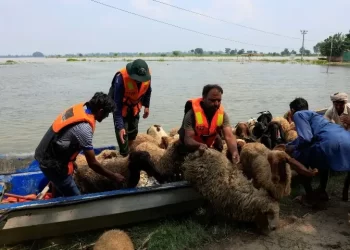 NDMA issues high-flood alert for Ravi as India releases water