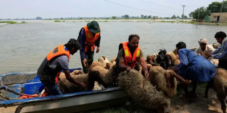 NDMA issues high-flood alert for Ravi as India releases water