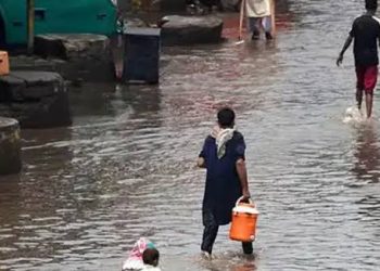 PDMA Releases Flood Damage Report for Punjab