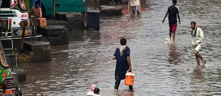 PDMA Releases Flood Damage Report for Punjab