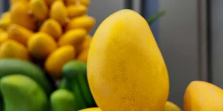Pakistan Mango Festival Lit Enthusiasm in Beijing